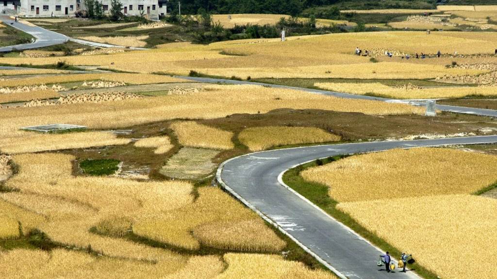 Unter anderem geänderte Anbaumethoden für Reis könnten laut dem Uno-Bericht Methan-Emissionen einsparen. (Archivbild)