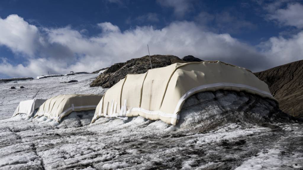 Schafwolle statt Plastik: Der Versuch mit dem Namen «Keep it Wool» auf einem Waadtländer Gletscher zeigt, dass das Naturmaterial die Eisschmelze in gleichem Masse bremst wie herkömmliche Schutzplanen.