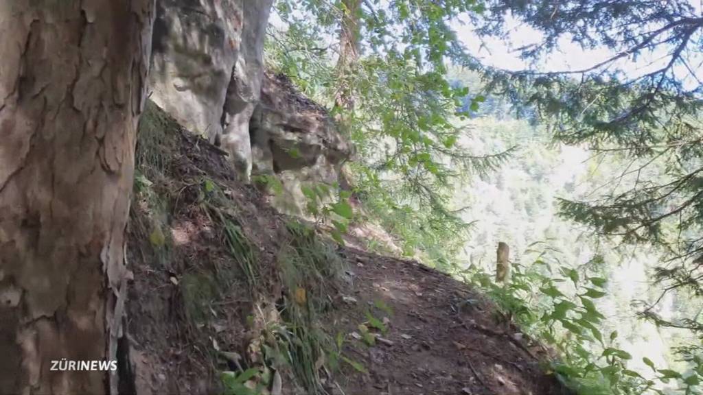 Unfall am Uetliberg: Gefahr oft unterschätzt