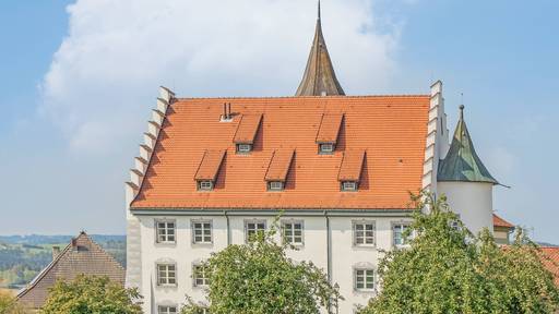 Villa brannte ab: Ehemaliger Aargauer Staatsschreiber wohnt jetzt in einem Schloss