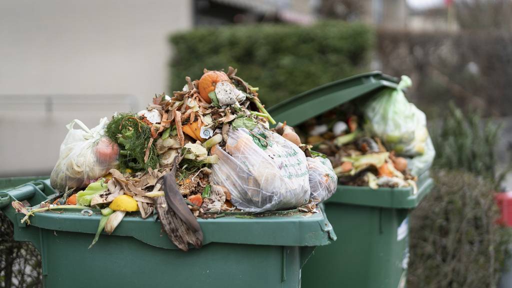 Die Zürcher «Kompost-Polizei» zieht weiter durch die Stadt