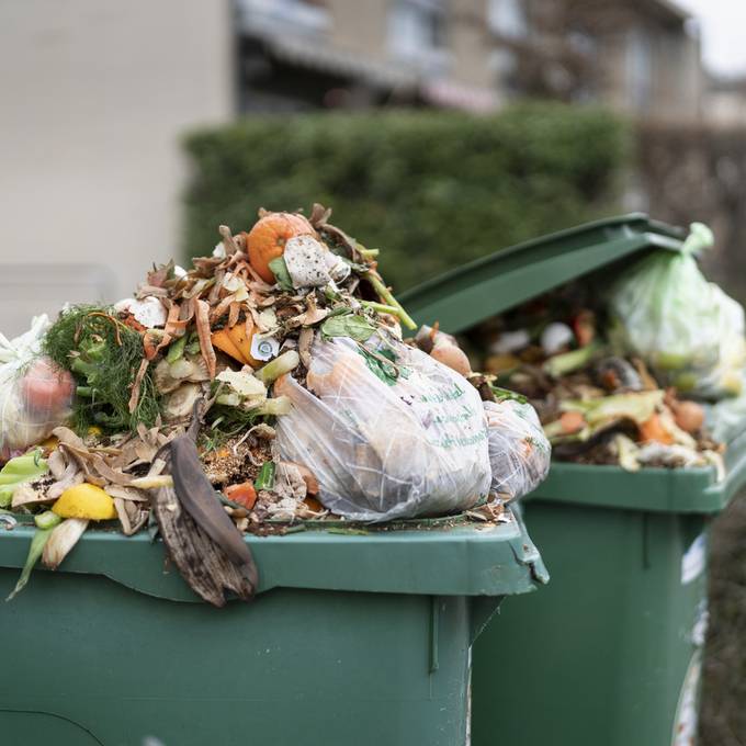 Die Zürcher «Kompost-Polizei» zieht weiter durch die Stadt