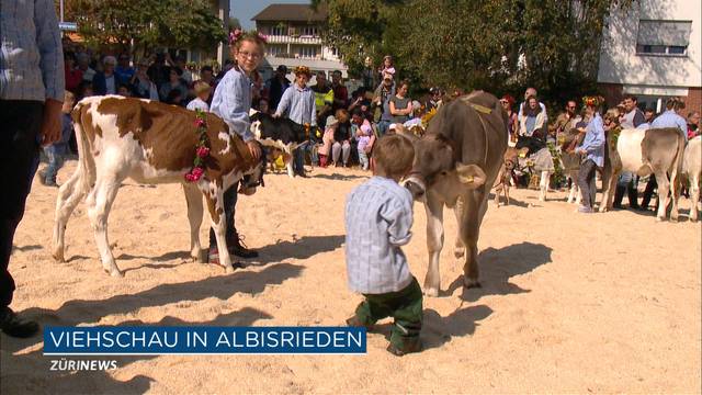 Tierische Misswahl