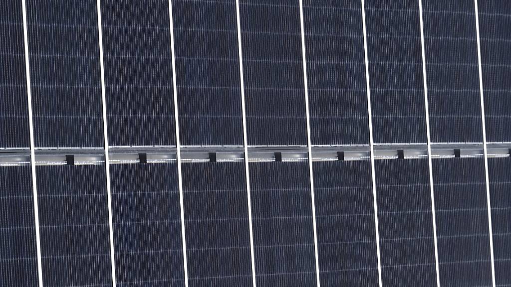 Fachverband präsentiert Forderungen für Ausbau der Photovoltaik