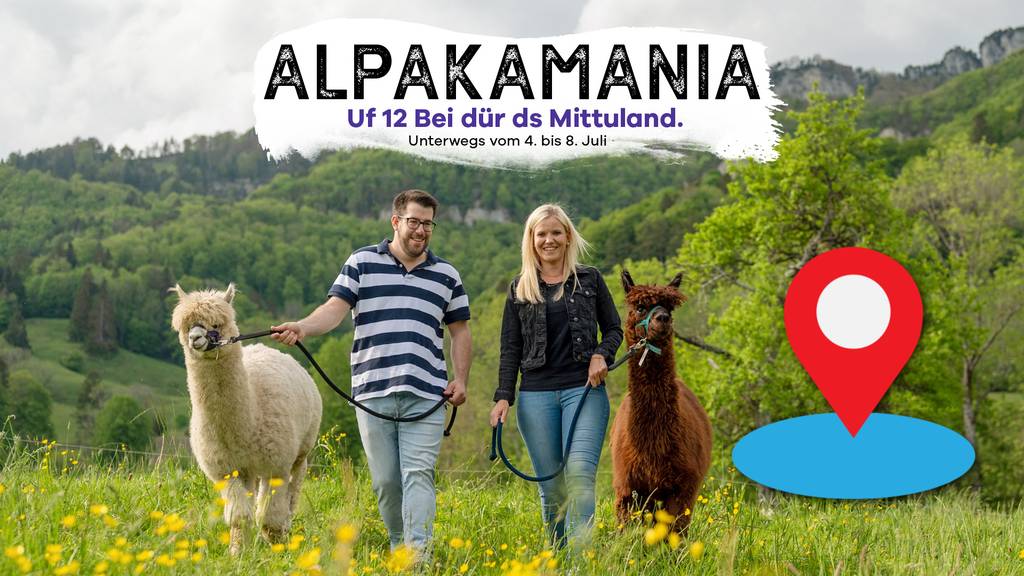 Alpakamania 2.0 GPS-Tracker