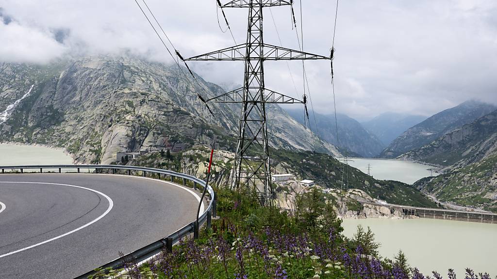 Kritik an Vorrang von Strom-Freileitungen bei Gesetzesrevision