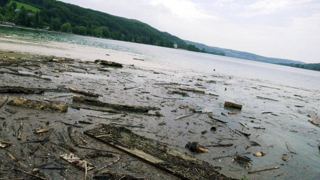 Aufgrund des Hochwassers schwemmt der Bodensee derzeit viel Treibholz an. (Archivbild)