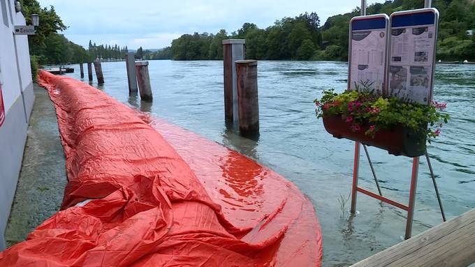 «Der Pegel ist an einer heiklen Stelle» – auch Diessenhofen baut Hochwasserschutz
