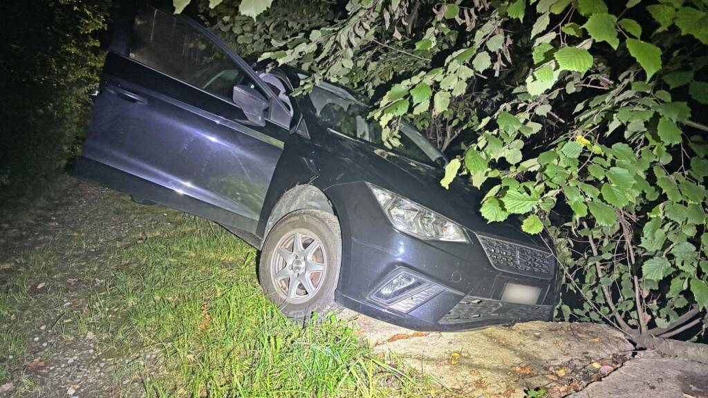 Autofahrer schläft nach Selbstunfall hinter dem Steuer ein