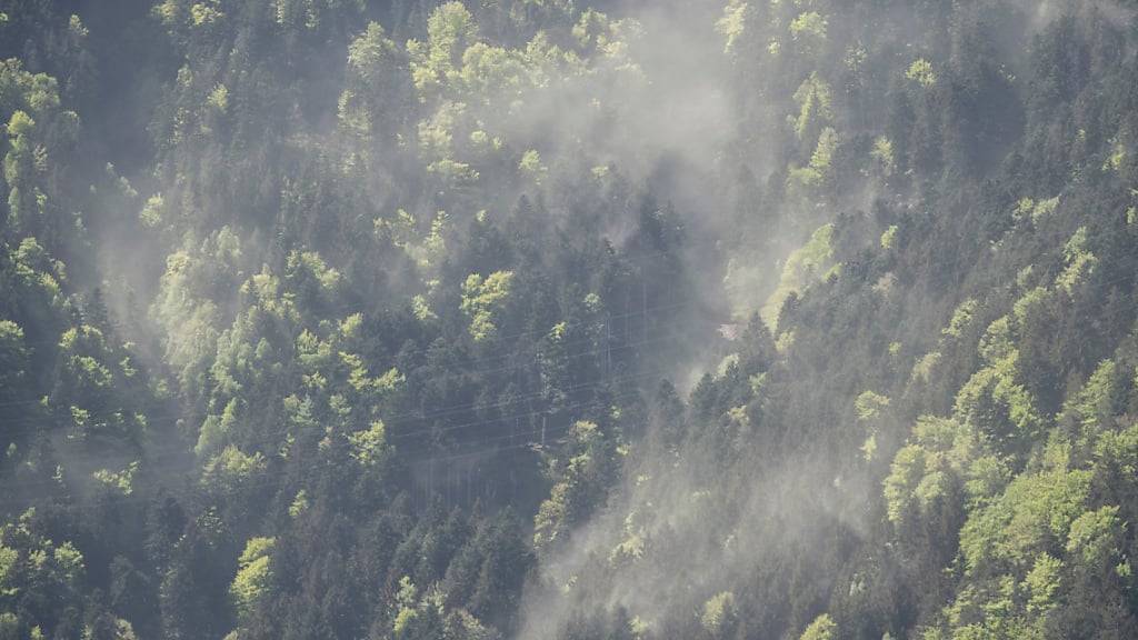 Der Föhn hat die Temperaturen in den oberen Alpentälern in der Nacht auf Donnerstag und am Donnerstag auf über 20 Grad ansteigen lassen. (Archivbild)