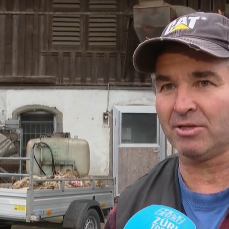 «Schafe hatten keine Chance»: Bauer ist schockiert über Blutbad