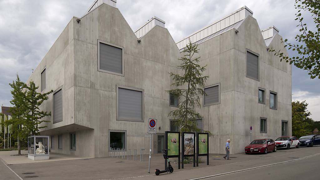 Im Naturmuseum in St. Gallen wird etwa der Haiwirbel vom Chäserrugg ausgestellt. (Archivbild)