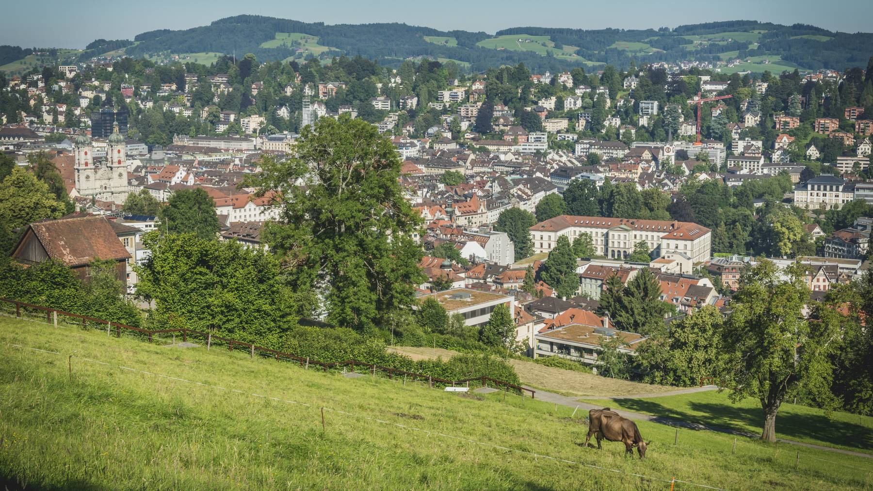 Grüne Wiesen, Idylle, gute Arbeitsbedingungen: Das ist die Schweiz.
