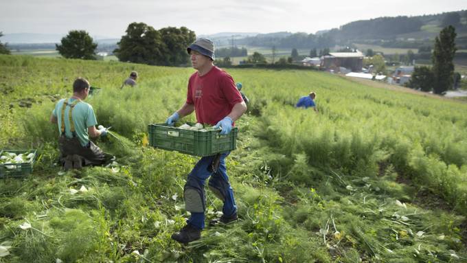 Tiere profitieren nicht von bewussterer Ernährung in Corona-Zeiten