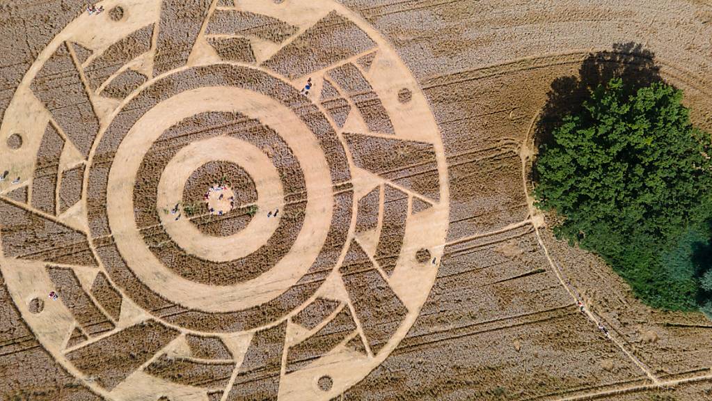 Interessierte durchstreifen einen Kornkreis in einem Feld in der Nähe von Pähl. Foto: Sven Hoppe/dpa