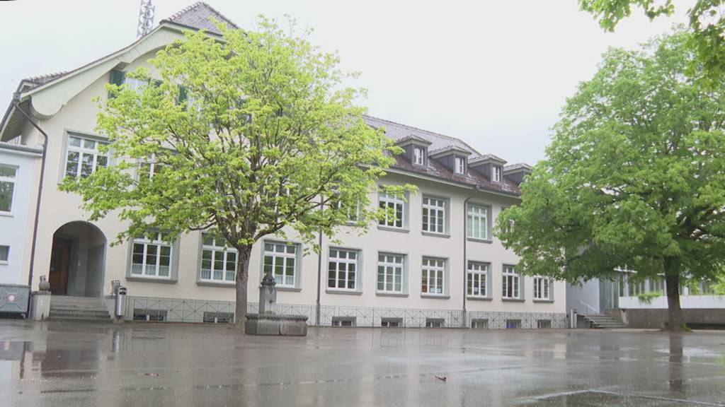FDP will Bildungskommission in Bremgarten zurück