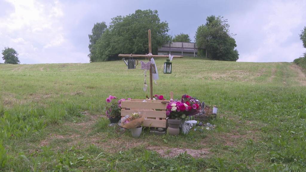 Schock-Tat in Berikon: 14-Jährige ermordet Schulfreundin aus Selbsthass