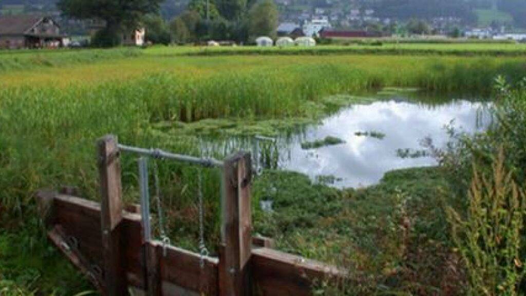 Das Projekt «Slow Water» will mit Retentionsmassnahmen Regenwasser nutzen und Erosion vermeiden.