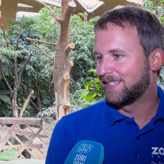 Zürcher Zoo-Kurator: «Wir mischen ihm die Medikamente in den Sirup»