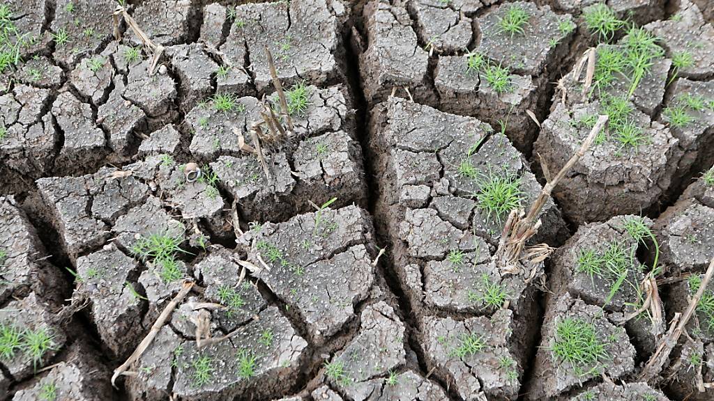 Die Dürre im Mittelmeerraum hat dem europäischen Erdbeobachtungsprogramm Copernicus zufolge über die Wintermonaten angehalten, was zum Teil zu Wassereinschränkungen und Dürre-Notständen geführt hat. (Symbolbild)