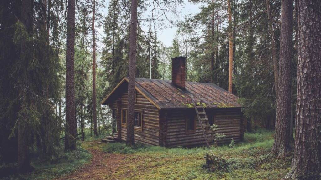 Waldhütten sollen nicht zu Ferienhäusern umgenutzt werden können. (Symbolbild)