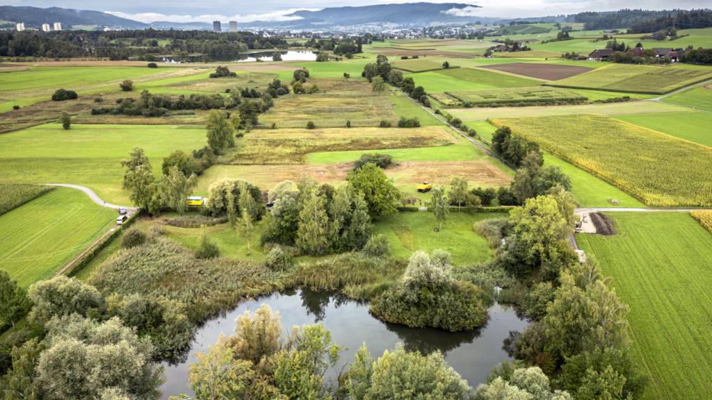 Sind die Zürcher Naturschutzgebiete durch Pestizide belastet (im Bild die Allmend Katzensee)? Der Kantonsrat will es genauer wissen. (Symbolbild)