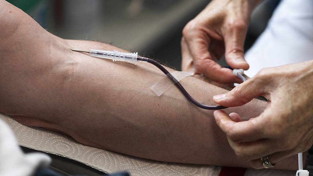 Blutspenden: Ab November gelten für alle die gleichen Kriterien. (Symbolbild)