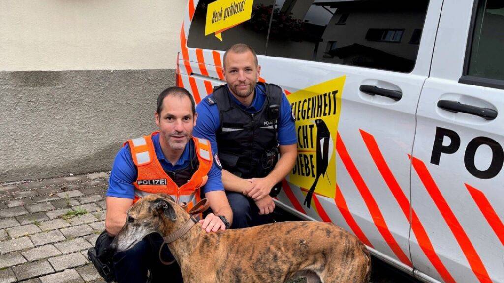 Der Windhund «Elliot» mit zweien seiner Retter in Chur.
