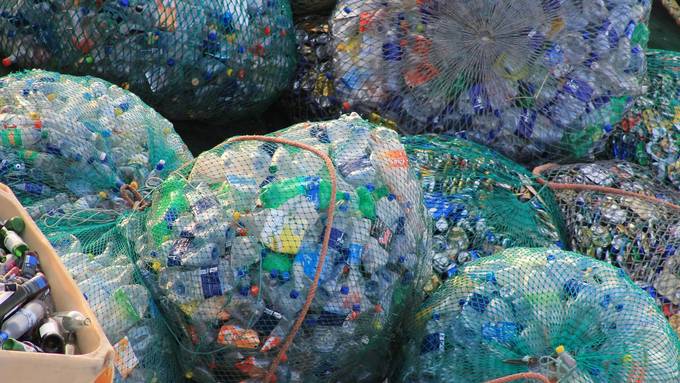 Knapp 3'000 neue Sammelstellen für Pet-Recycling