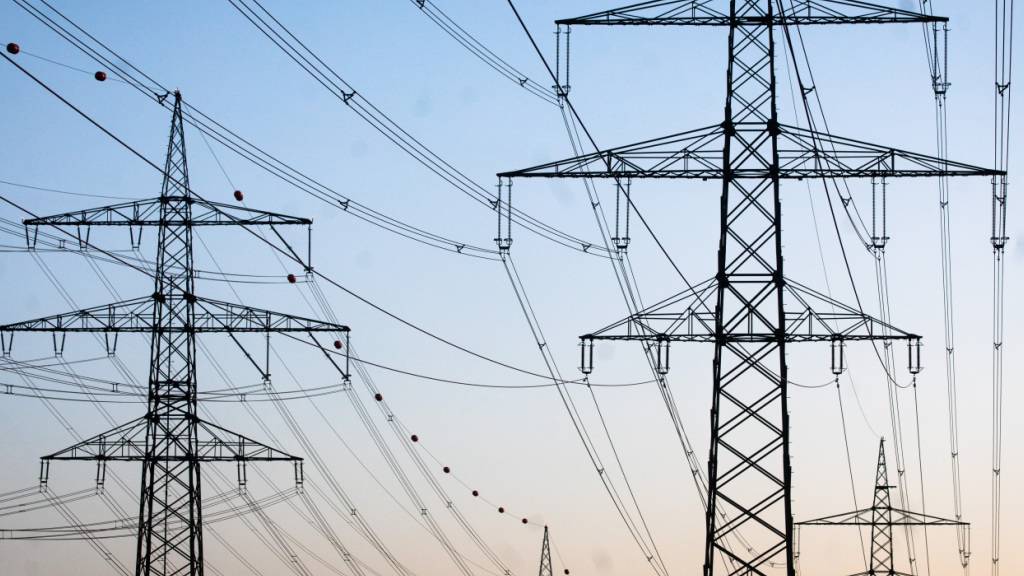 ARCHIV - Freileitungsmasten stehen kurz vor Sonnenaufgang auf einem Feld. Foto: Christoph Schmidt/dpa