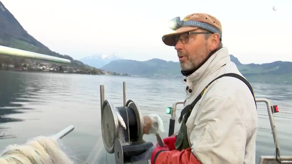 Nils Hofer Berufsfischer - Tele 1