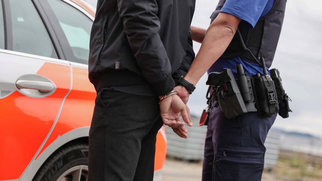 Mehrere Diebstähle aus Autos: Zwei Schweizer im Sarganserland festgenommen