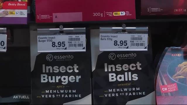 Lust auf einen Insekten-Snack?