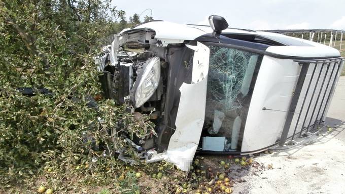 Lieferwagen kracht in Apfelbaum