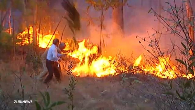 Verzweifelter Waldbrand-Kampf in Portugal
