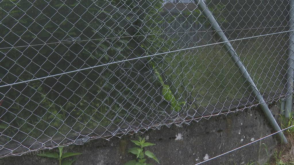 Gefängnis-Ausbruch Solothurn: So erlebte Anwohnerin das Grossaufgebot der Polizei