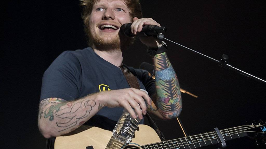 104 Bäume müssen nicht für ein Ed-Sheeran-Konzert gefällt werden - die Veranstaltung findet in Gelsenkirchen anstelle von Düsseldorf statt. (Archivbild)