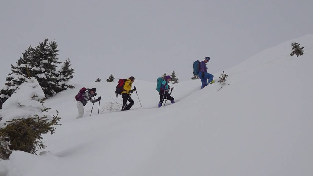 Outdoor-Boom: Schneeschuhe