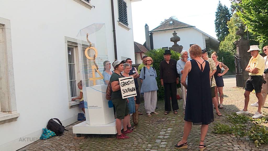 Empörung: Trotz Protesten fällt die Stadt Solothurn mehrere Bäume