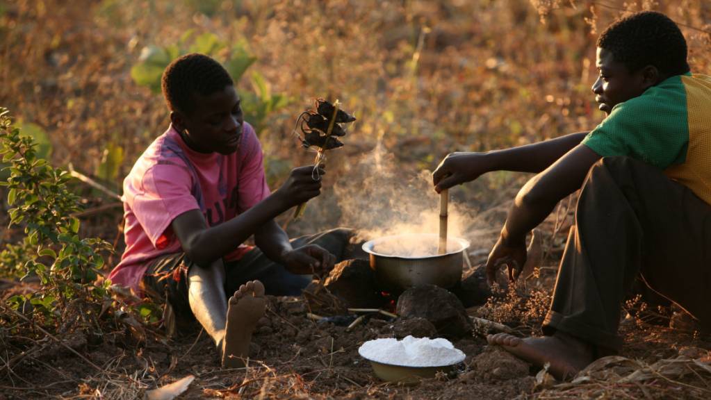 Zwei Männer in Malawi essen gekochte Mäuse. (Archivbild)