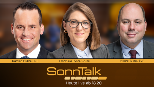 Mehr Kriminalität, Kampfjet F-35 und Fall Stocker
