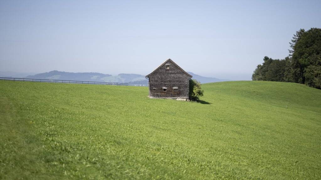 Die Böden auf der Eggersrieter Höhe im Kanton St. Gallen sind stark mit PFAS belastet. Das Fleisch von dort weidenden Tiere überschreitet die Grenzwerte, weshalb der Kanton Massnahmen einleitete. (Archivbild)