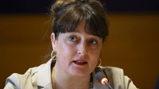 SP Schaffhausen will Regierungssitz mit Bettina Looser verteidigen