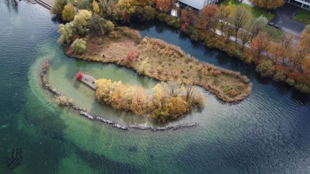 Die Inseln befinden sich bei der Kantonsschule Alpenquai.