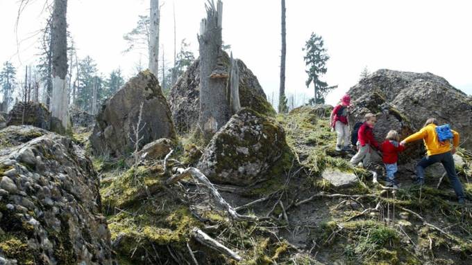 Bergeller Bergsturz - einer der grössten seit über 100 Jahren