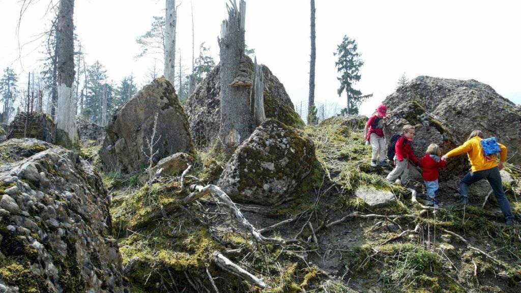 Der Bergeller Bergsturz gehört zu den Grossen in der Schweiz. Im Bild zu sehen sind Überreste der Goldauer Bergsturzkatastrophe von 1806.