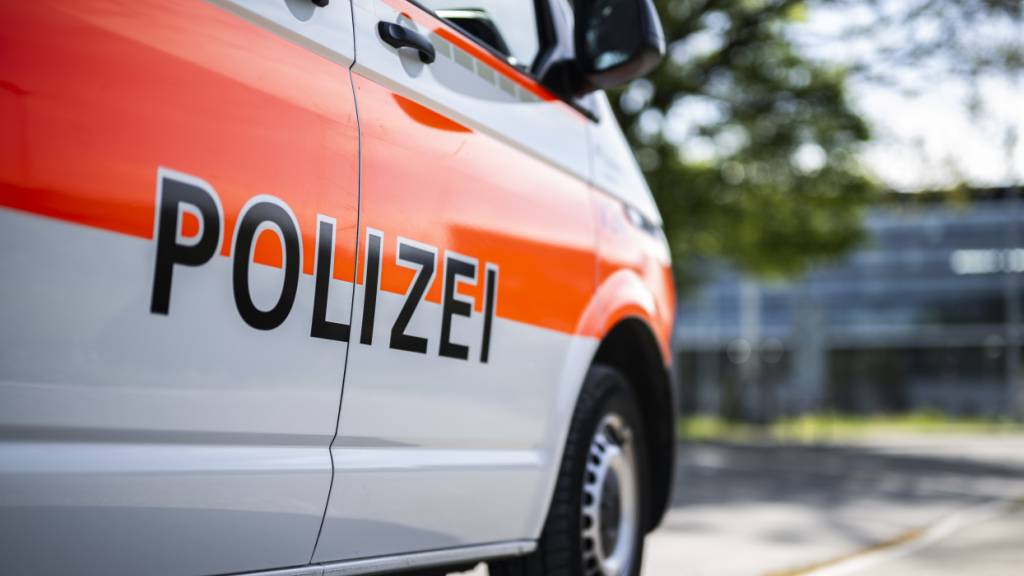 Die Stadtpolizei St. Gallen hat in der Nacht auf Sonntag zwei renitente Männer festgenommen. (Symbolbild)