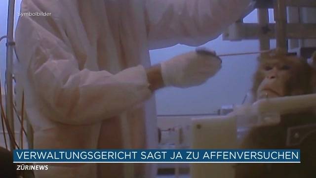 Uni und ETH dürfen Affenversuche durchführen