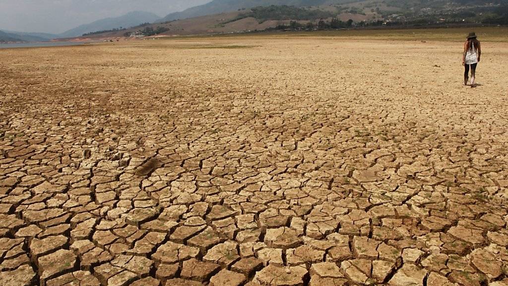 Das Klimaphänomen El Niño hat den Calima-See in Kolumbien durch anhaltende Dürre schrumpfen lassen. Laut Angaben der Weltorganisation für Meteorologie  sind El Niño und die Klimaerwärmung Ursache für Wärmerekorde wie 2015 und nun auch der Januar 2016.
