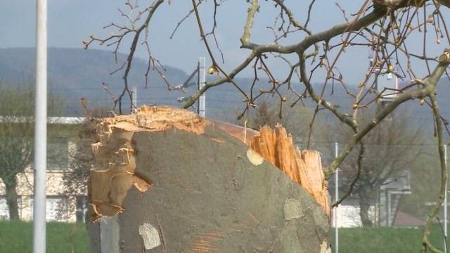 Vandalen an der Schule Unterentfelden